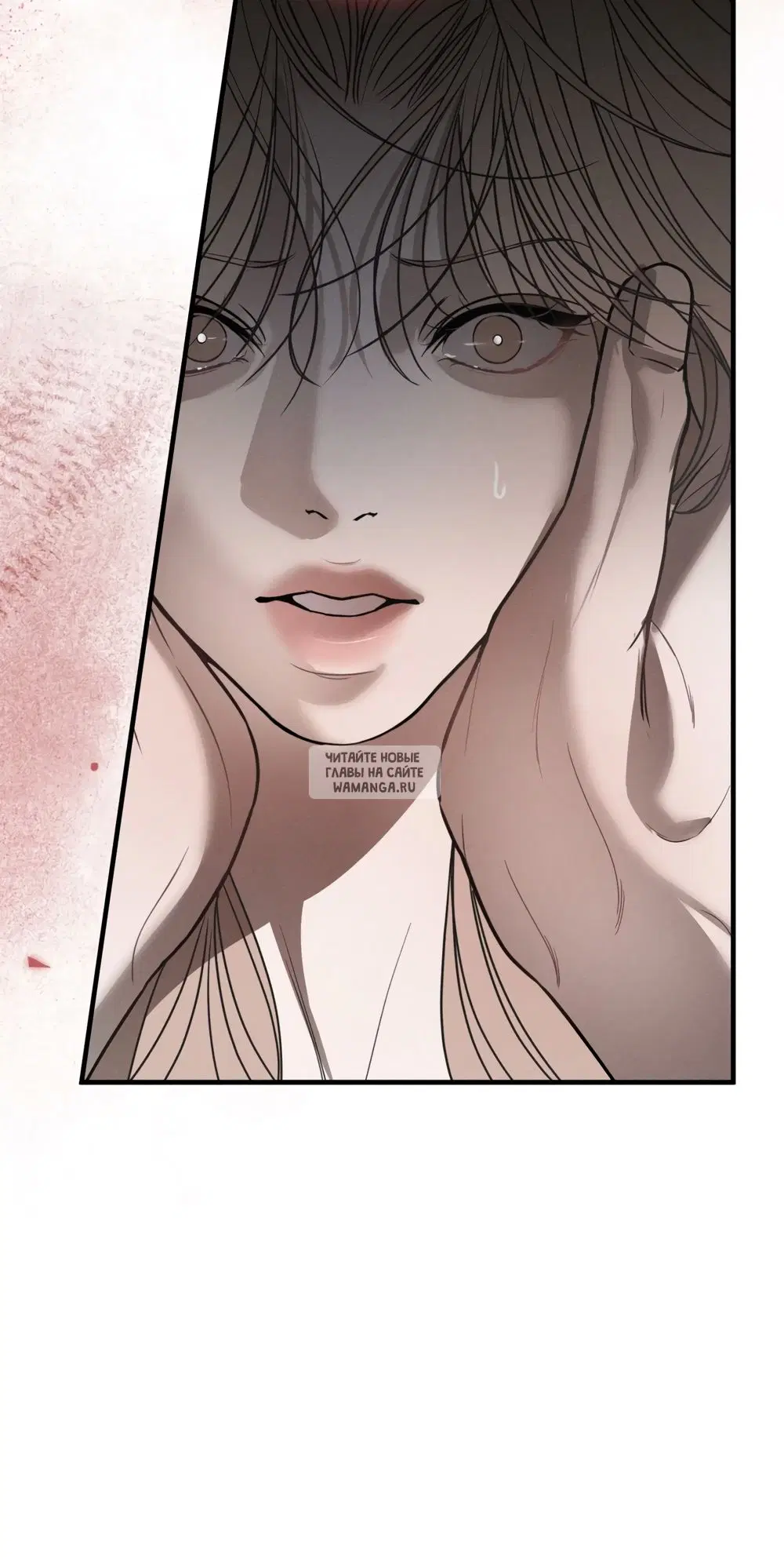 Page 39.000