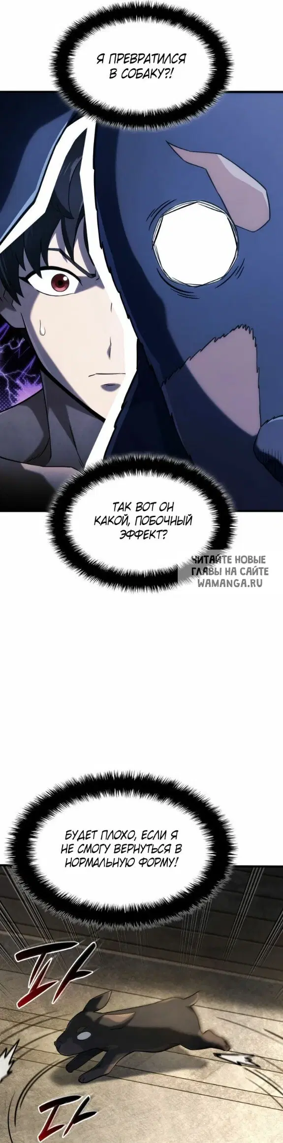 Page 31.000