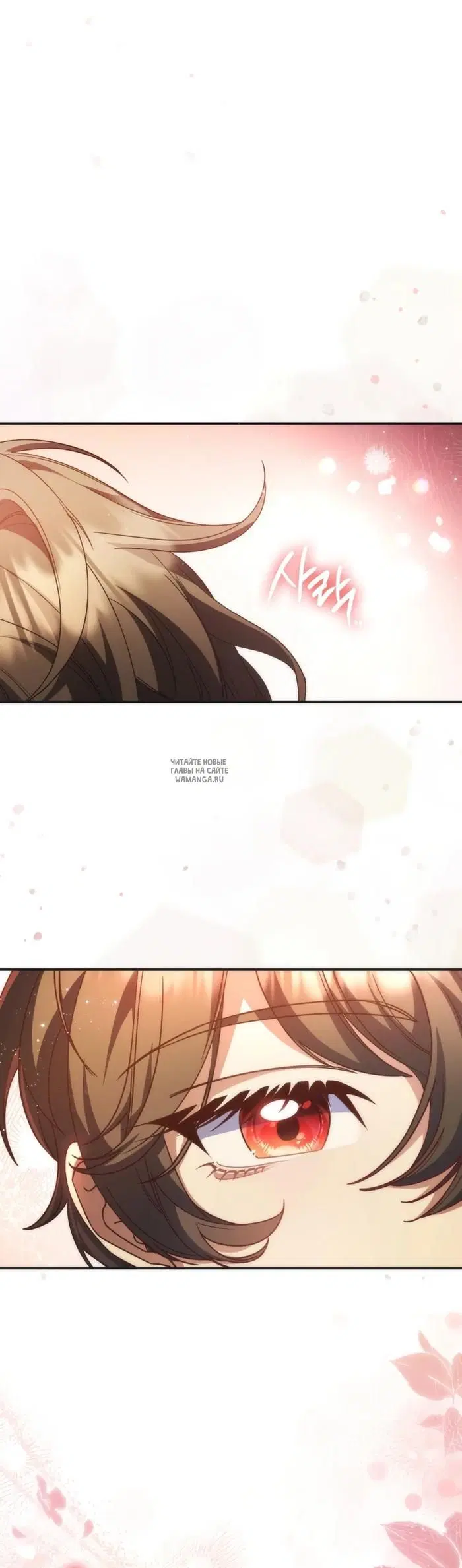 Page 25.000
