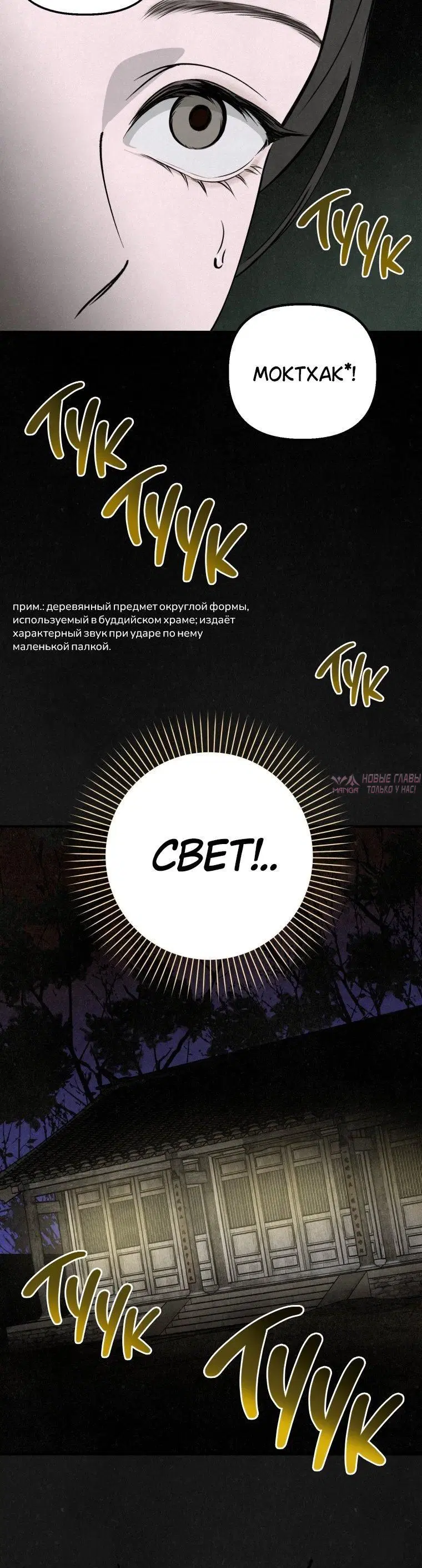 «Лето, поглощенное кромешной тьмой», глава 1, страница 13.001000000