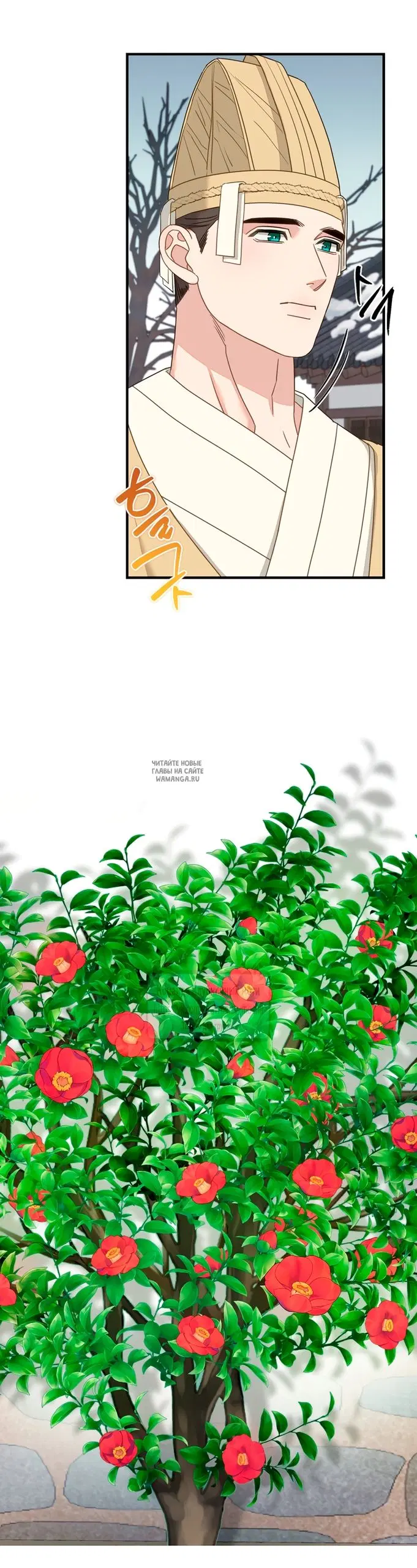 Page 35.000