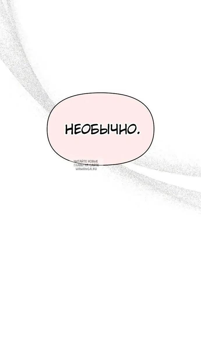 Page 51.000