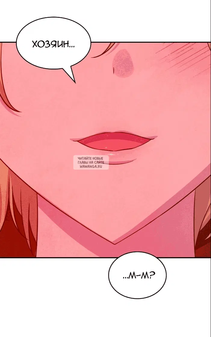 Page 25.000