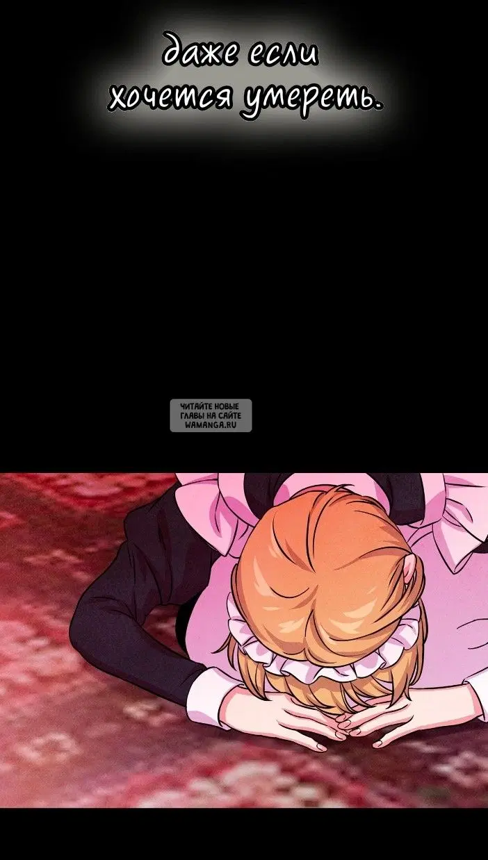Page 25.000