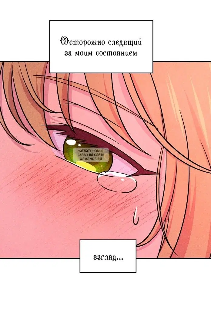 Page 36.000