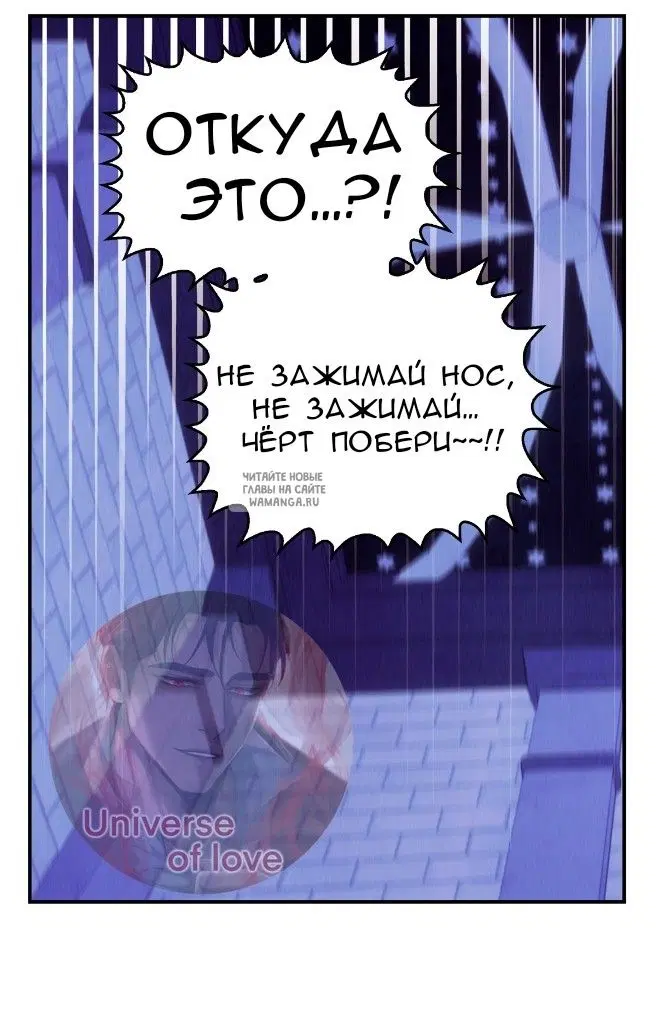 Page 31.000