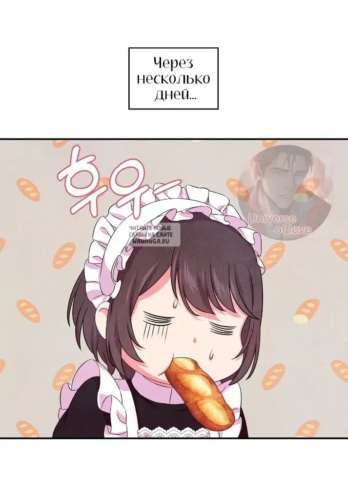 Page 41.000