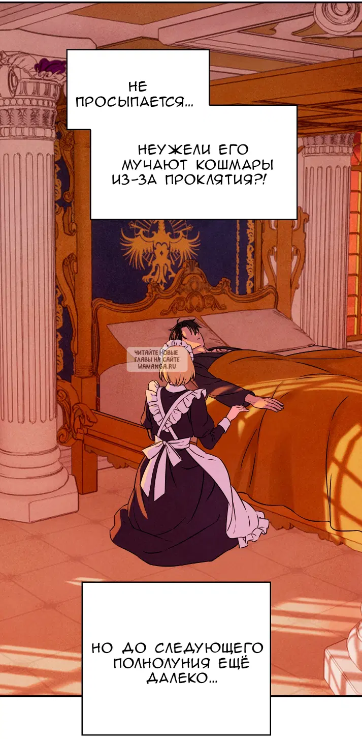 Page 41.000