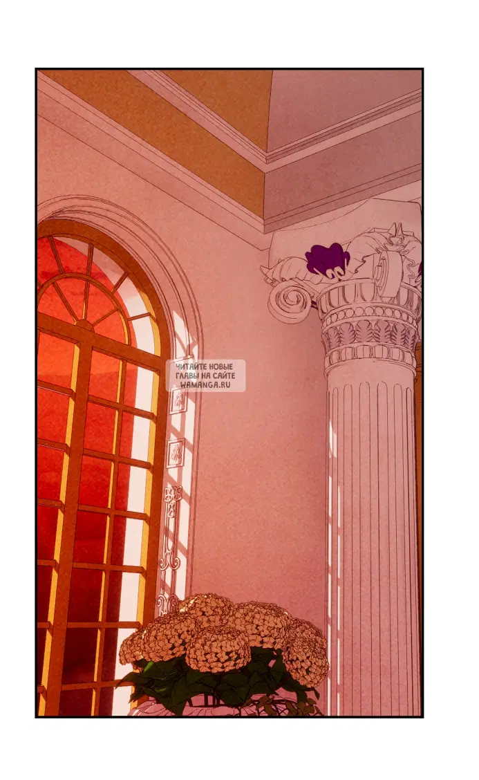 Page 50.000