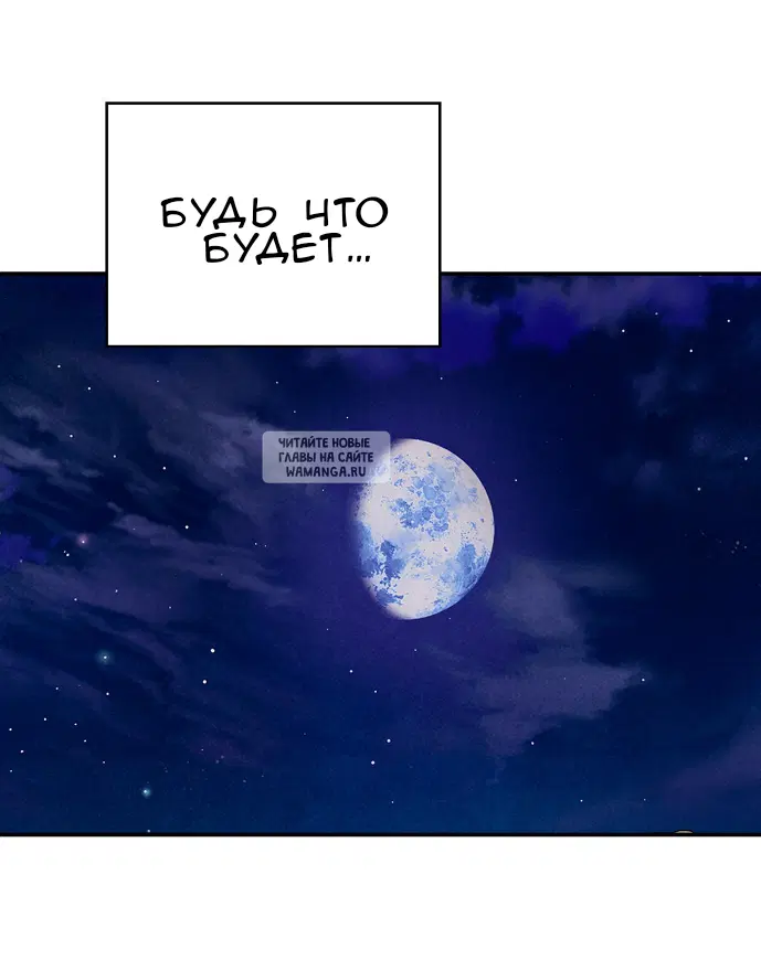 Page 50.000