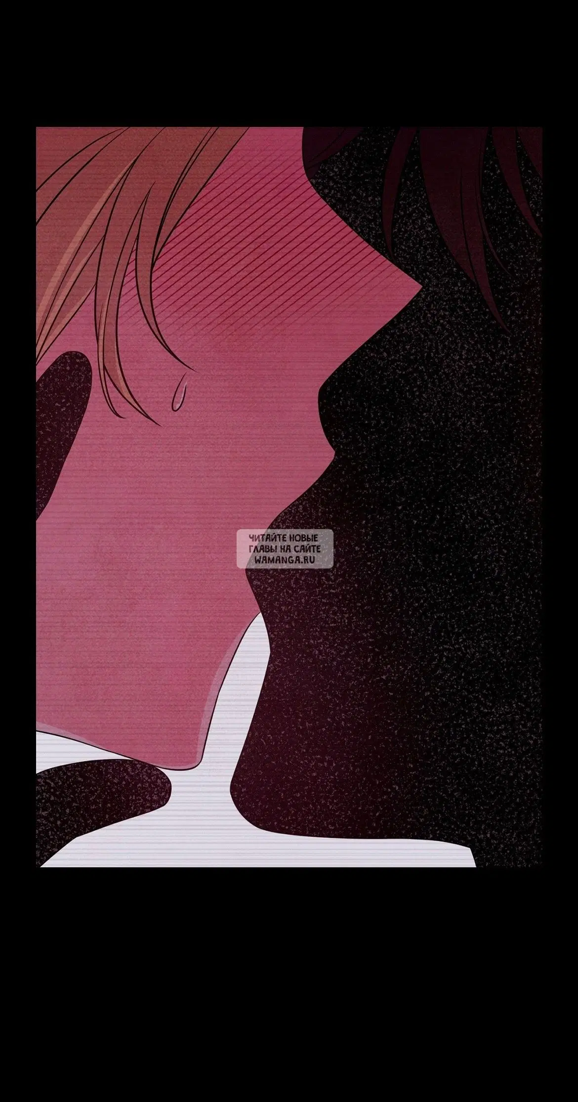 Page 51.000