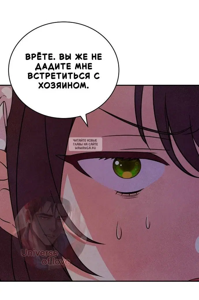 Page 53.000