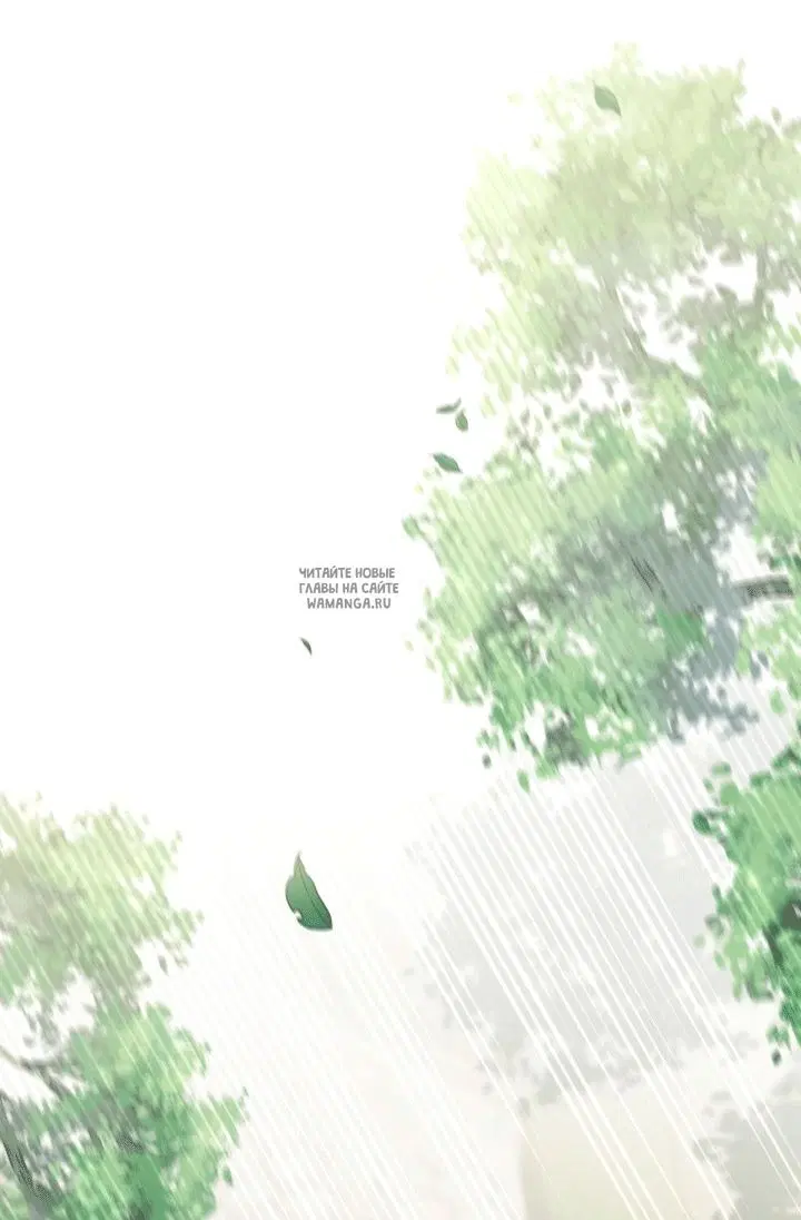 Page 36.000