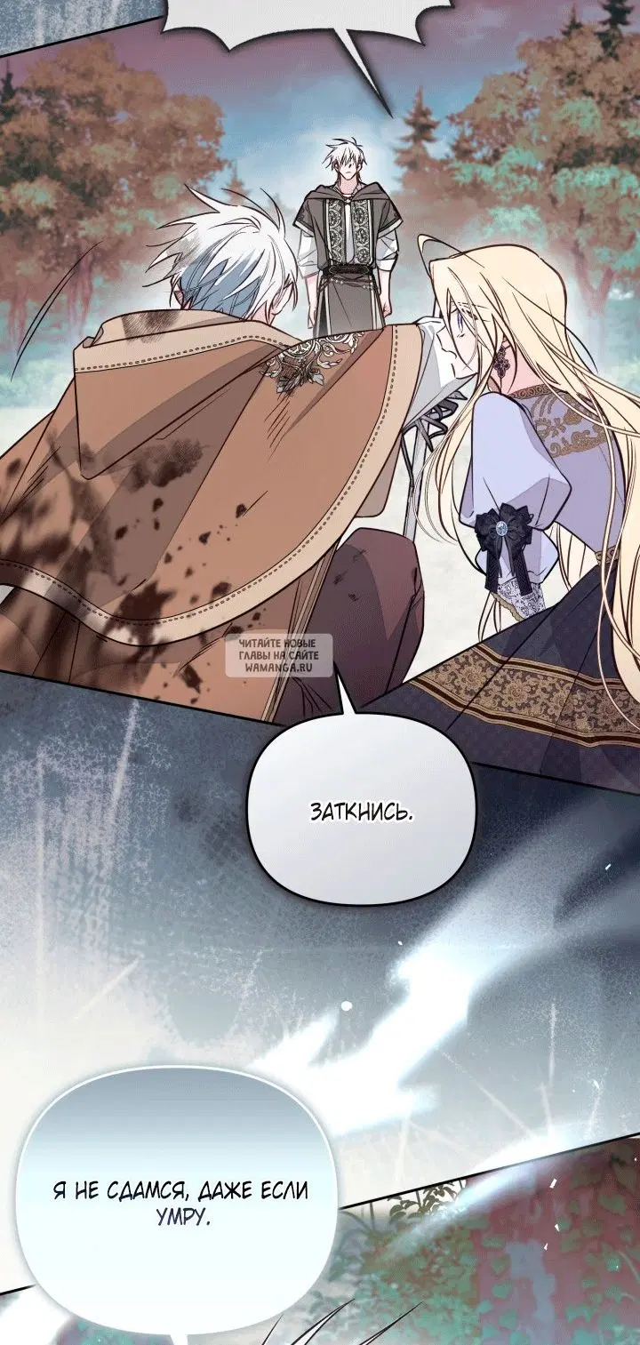 Page 41.000