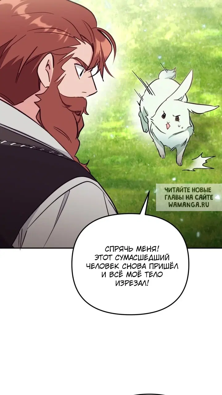 Page 42.000