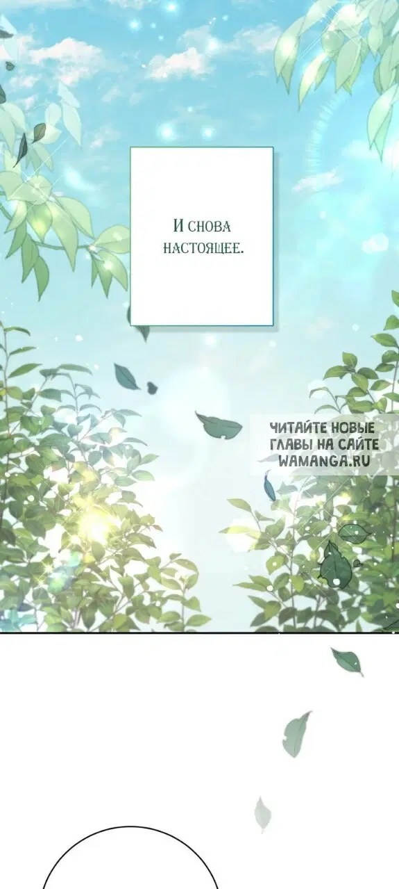 Page 42.000