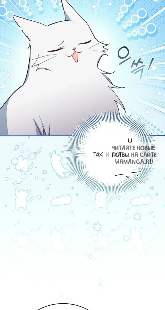 Page 43.000