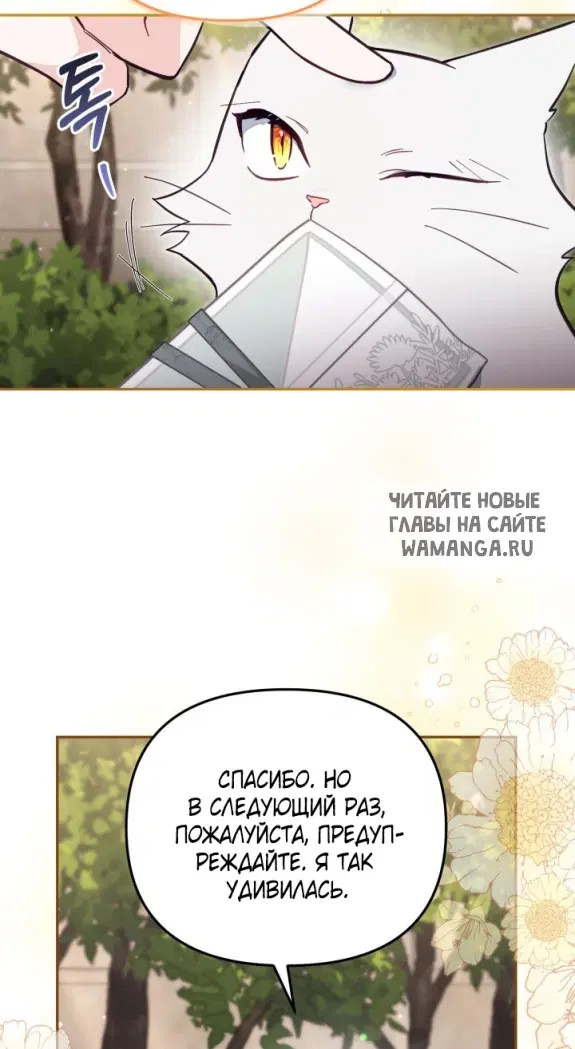 Page 55.000