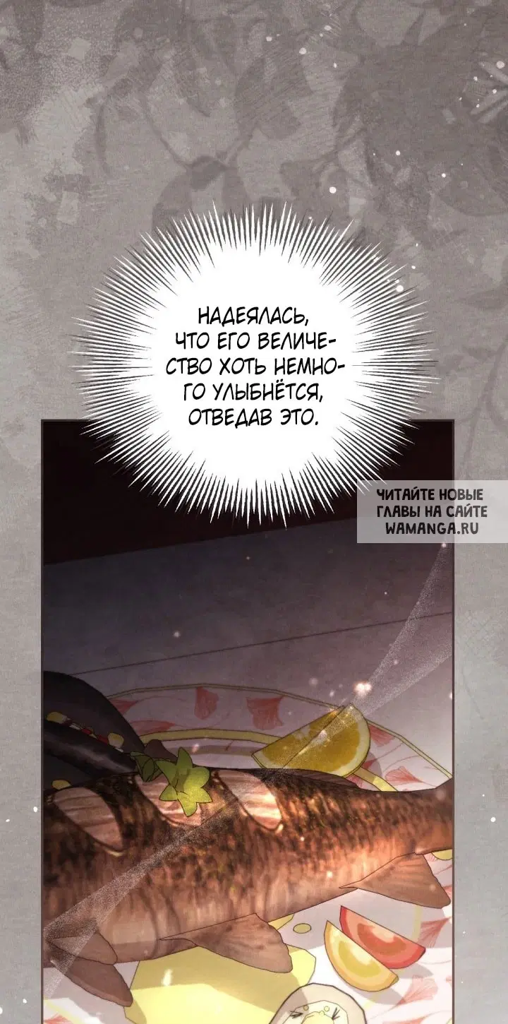 Page 50.000