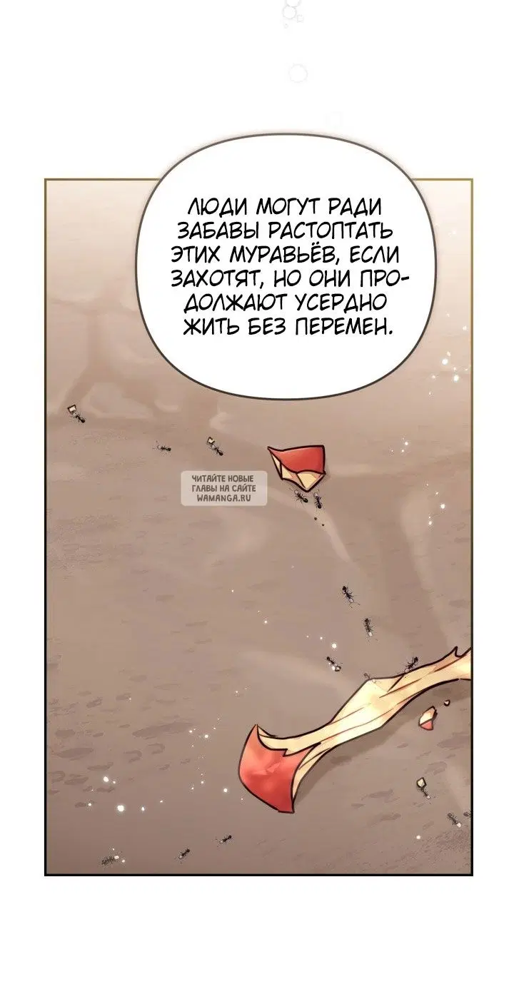 Page 53.000