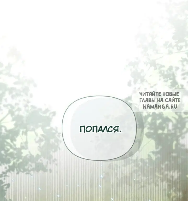 Page 61.000