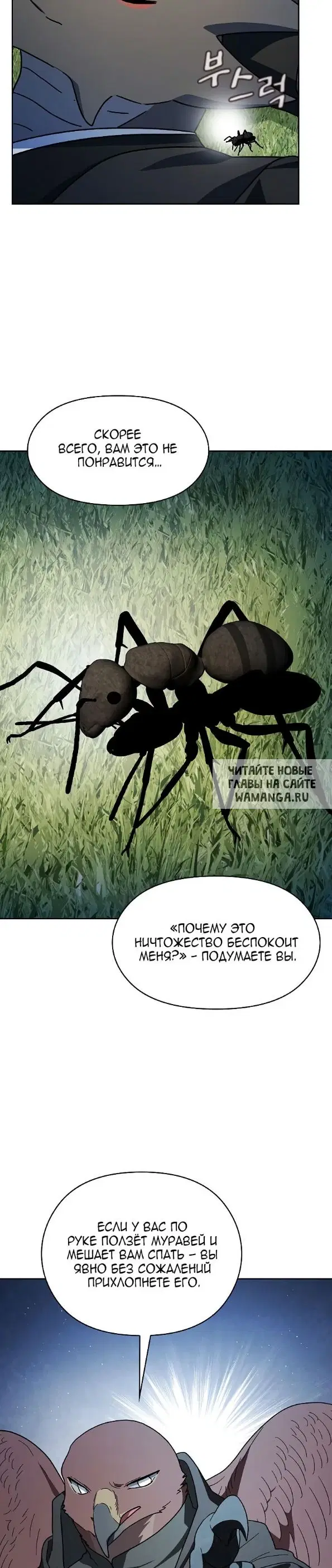 Page 31.000