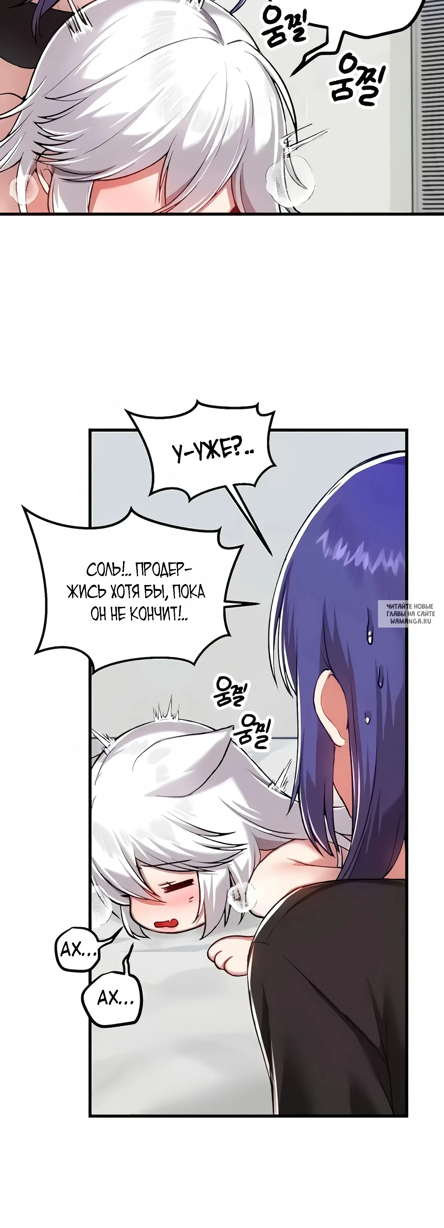 Page 17.000