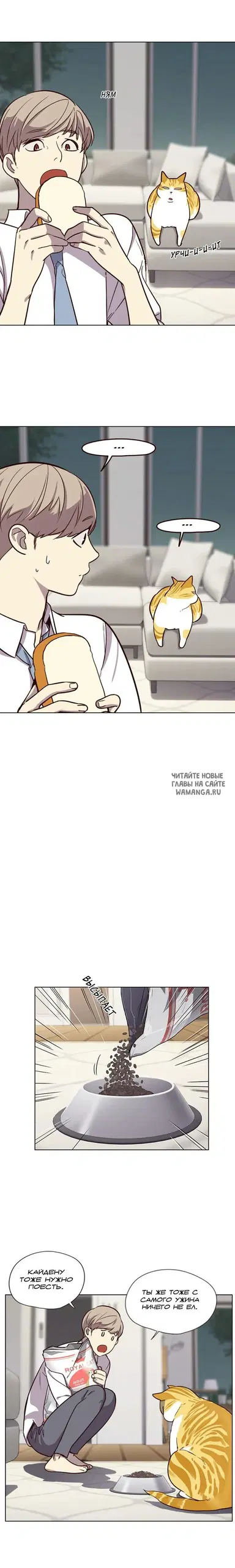 Page 16.000