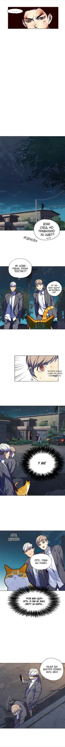 Page 11.000