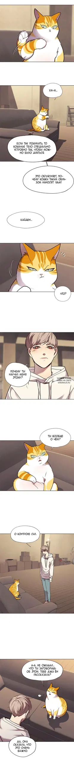 Page 11.000