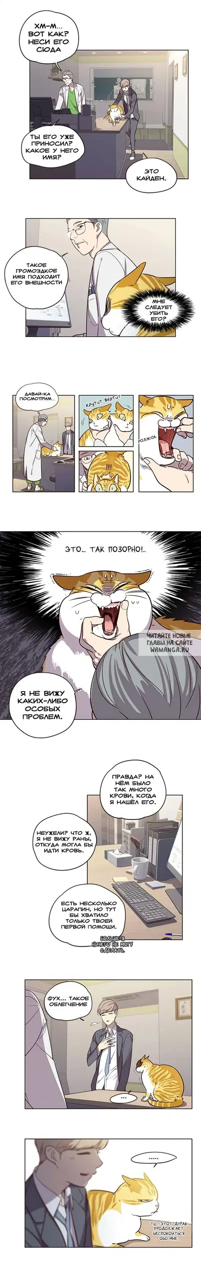 Page 11.000