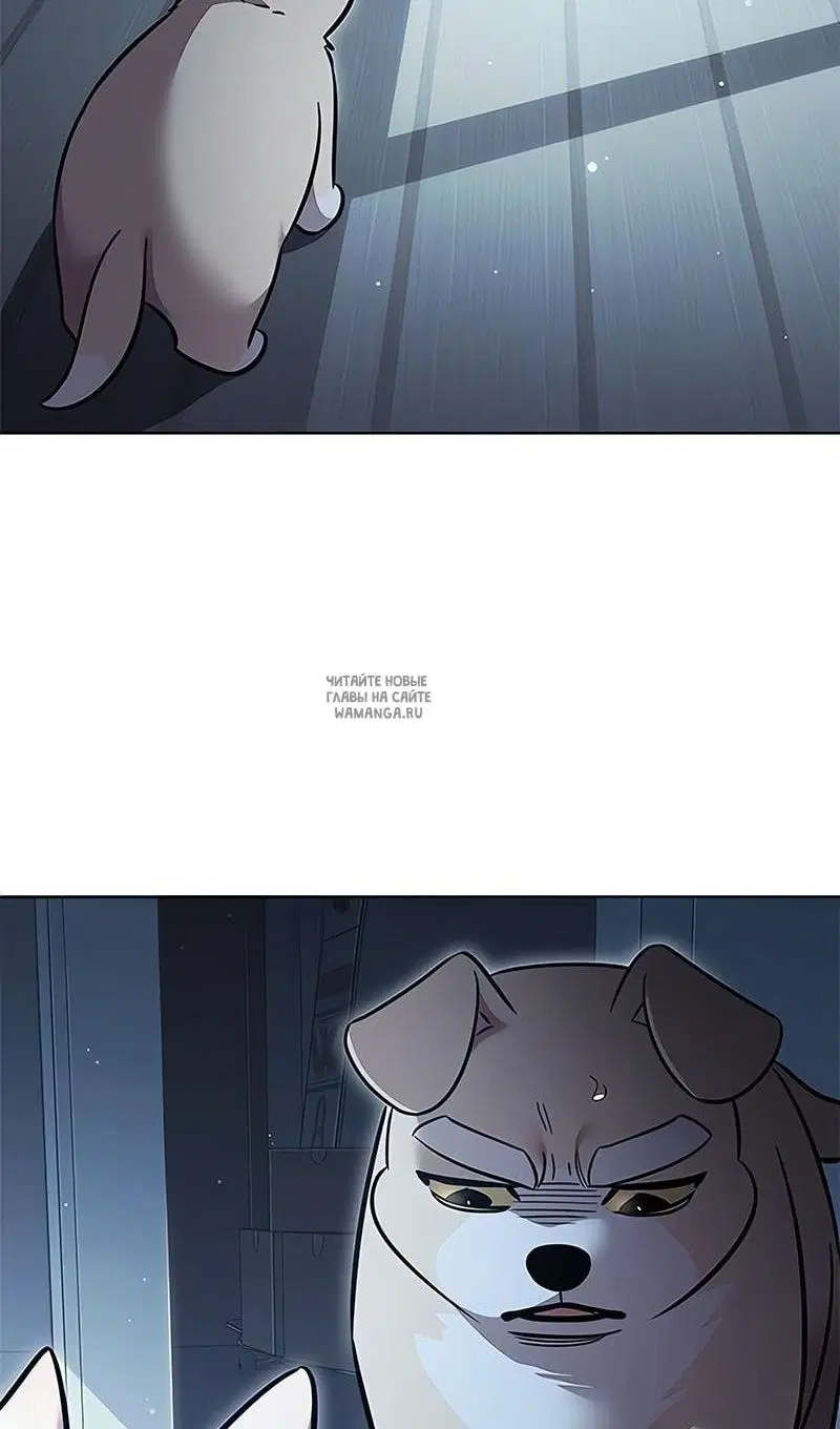 Page 119.000