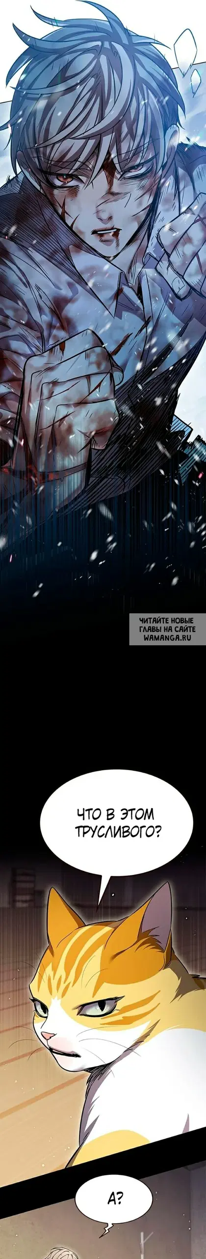 Page 24.000
