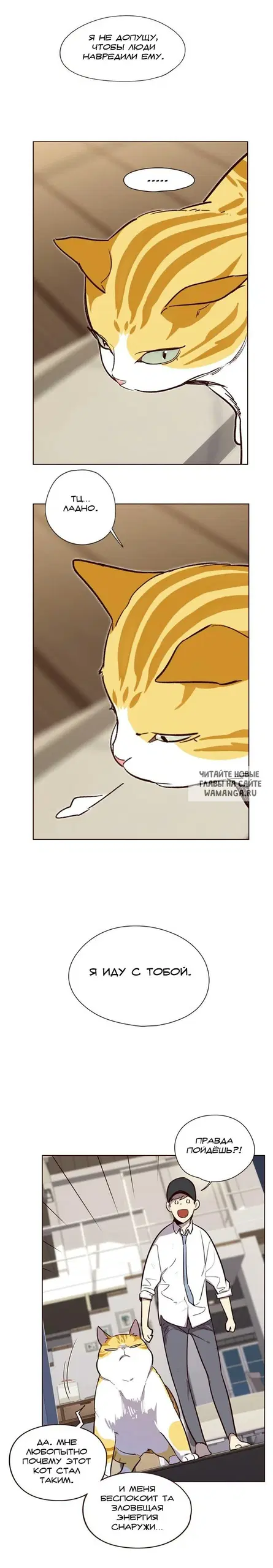 Page 22.000