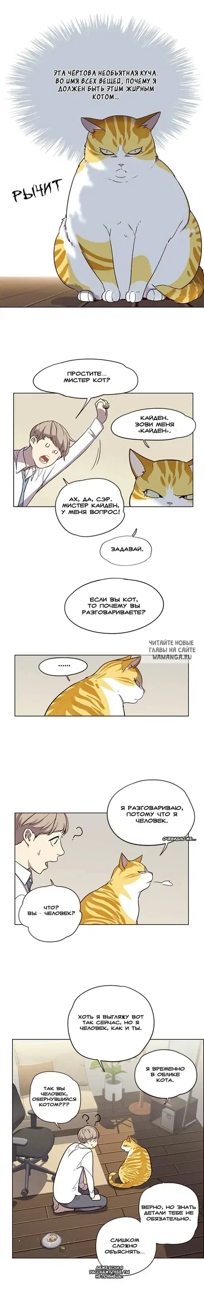 Page 3.000