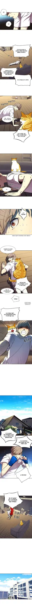 Page 3.000