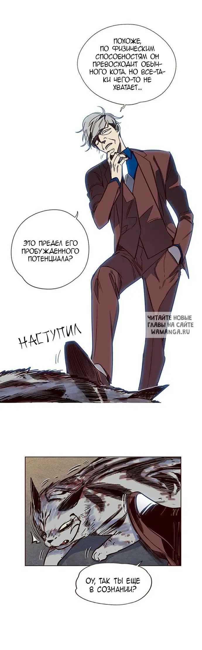 Page 3.000