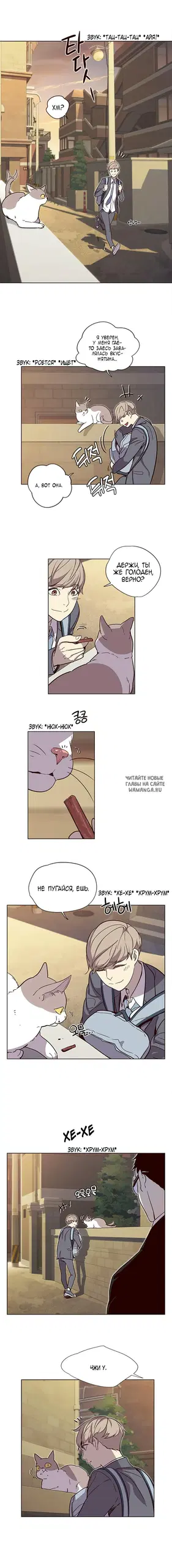 Page 3.000