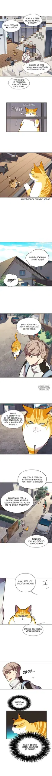Page 3.000