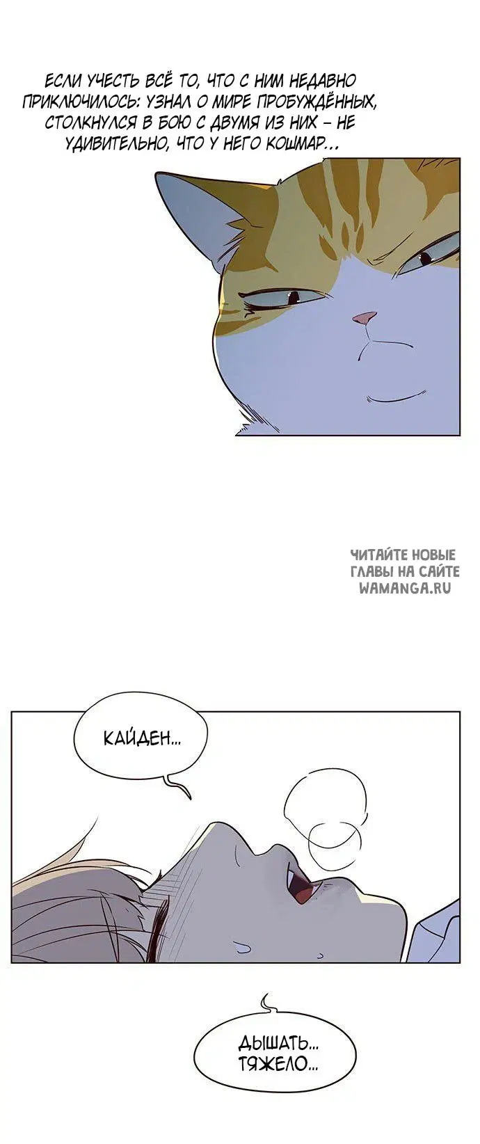 Page 4.000