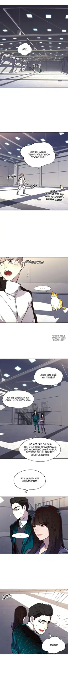 Page 5.000