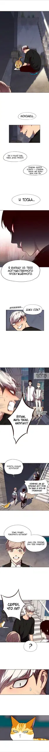 Page 5.000