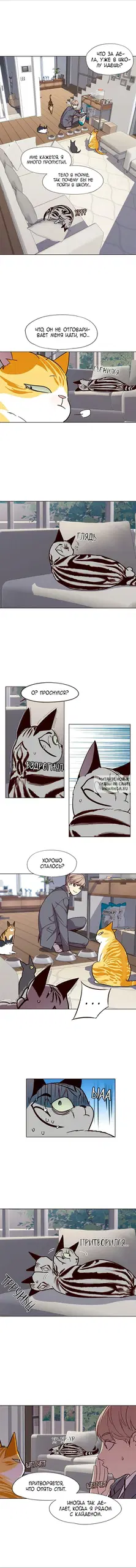 Page 5.000