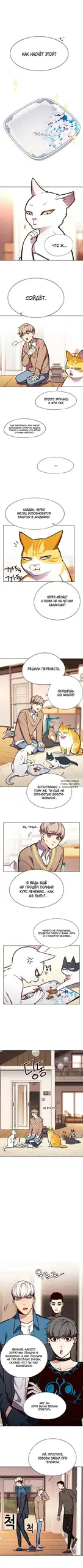 Page 5.000