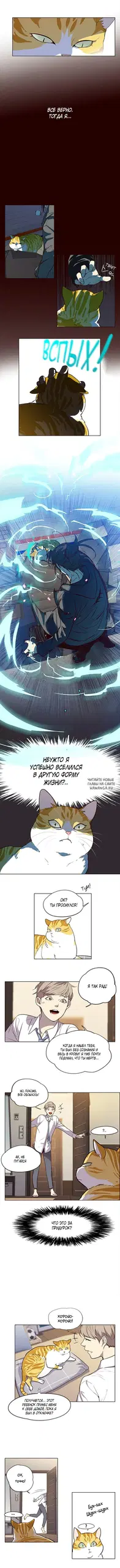 «Элисед», глава 1, страница 6.000000000
