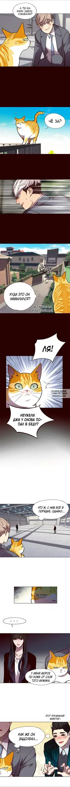 Page 6.000