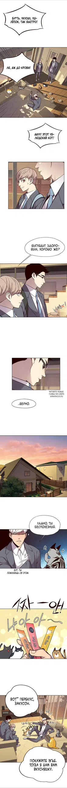 Page 6.000