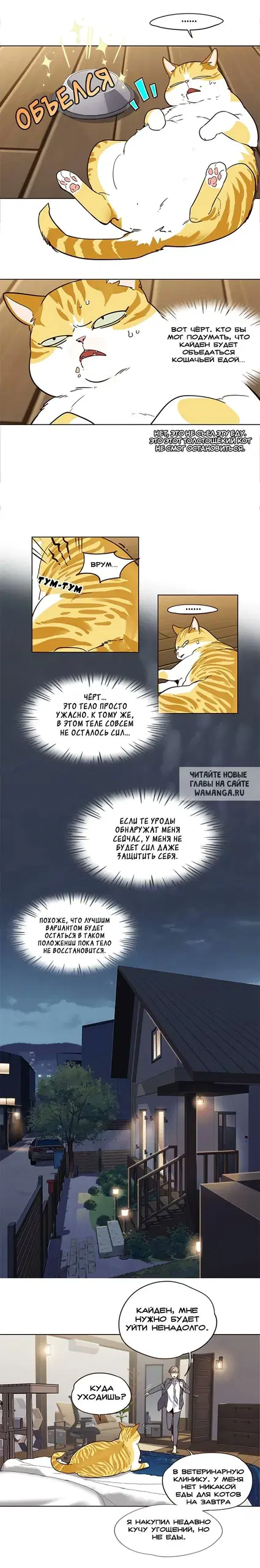 Page 7.000