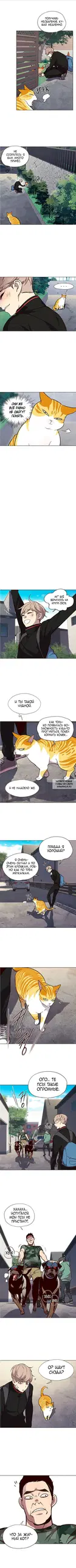 Page 7.000