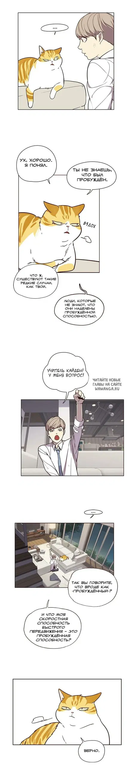 Page 8.000